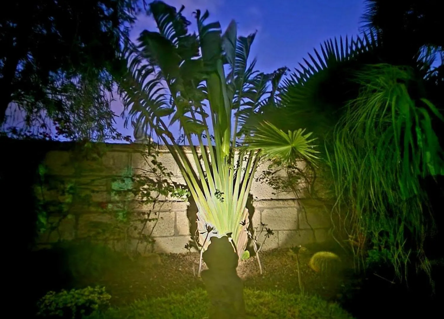 Villa Marina Luxury Sea View Private Pool & Garden - Costa Adeje